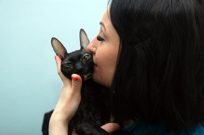 Cornishrex-rotuinen Femi kuten muutkin lemmikit ovat lohduttaneet Nina Åkermania kovan koronavuoden aikana. KUVAT: MINNA HIIRONEN