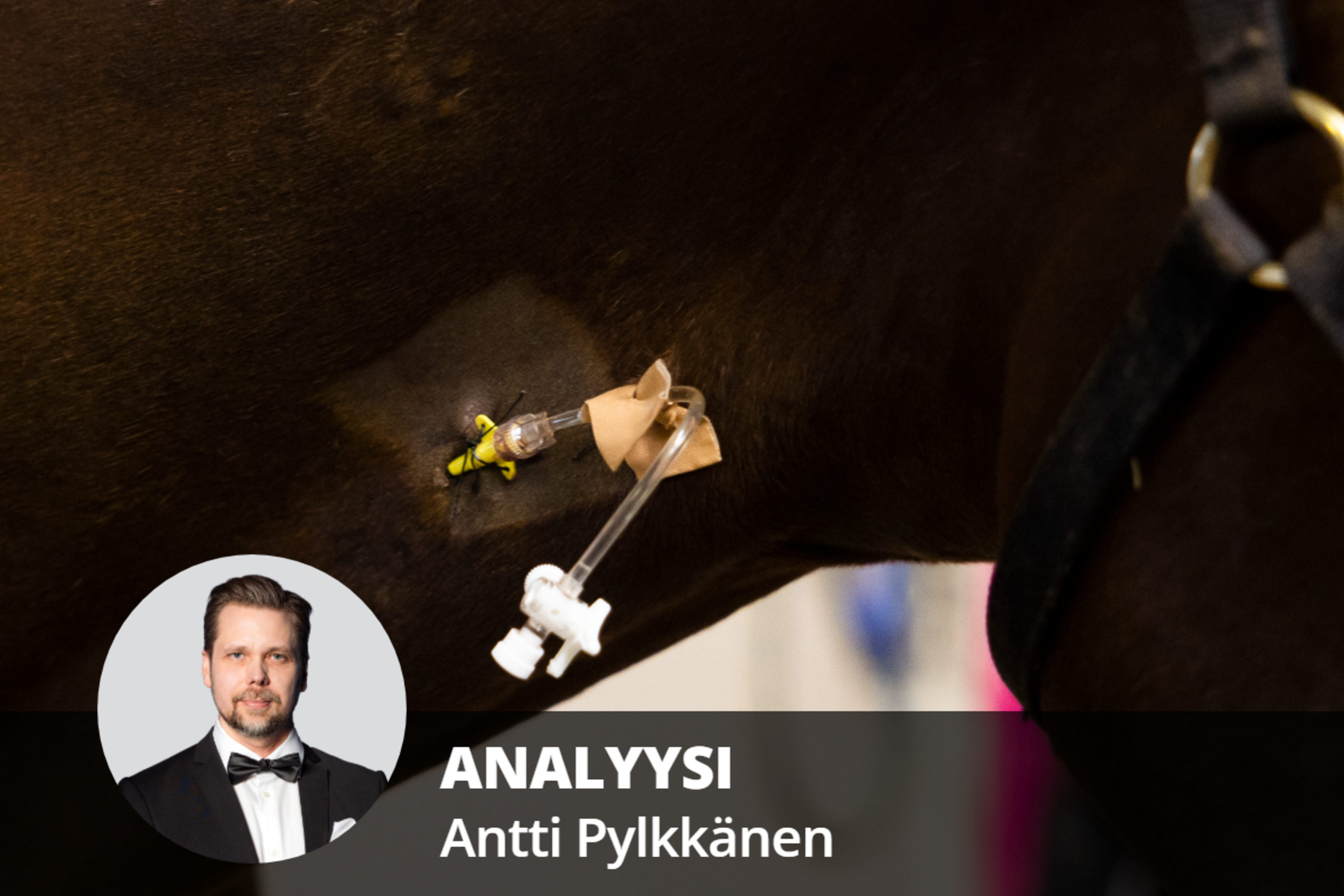 Dopingepäilyjen pitkä varjo lankesi raviurheilun ylle – erikoinen vyyhti tarjoaa vain vähän vastauksia