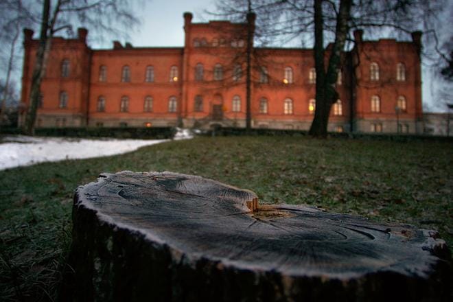 KUVA: JUKKA RITOLA / ARKISTO