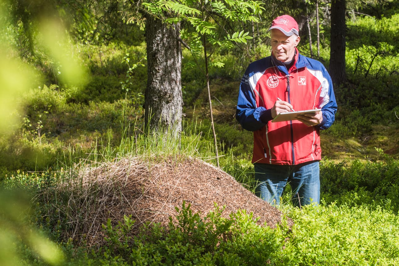 Tapio Tahkola on ansioitunut myös suunnistuskarttojen tekijänä. Kuva on kesäkuulta 2018.