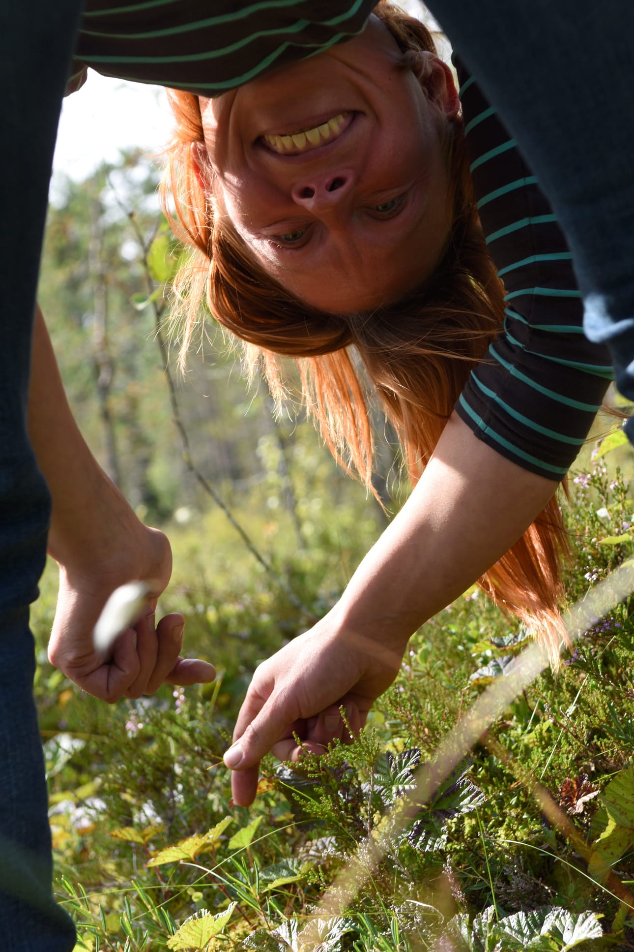Välillä pitää nousta katsomaan maisemaa ja tarkistaa, että paluureitin merkki näkyy, muistuttaa Erä-Suden safariopas Lili Juvonen.