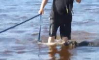 Pennun ensimmäinen uimareissu