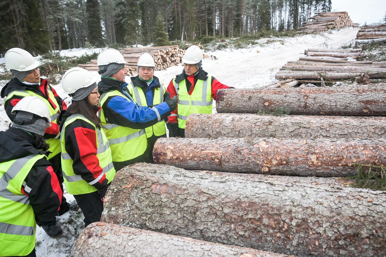 Kiinalaiset kauppakumppanit tutustuivat Pölkyn hakkuuseen Ahosaaressa.