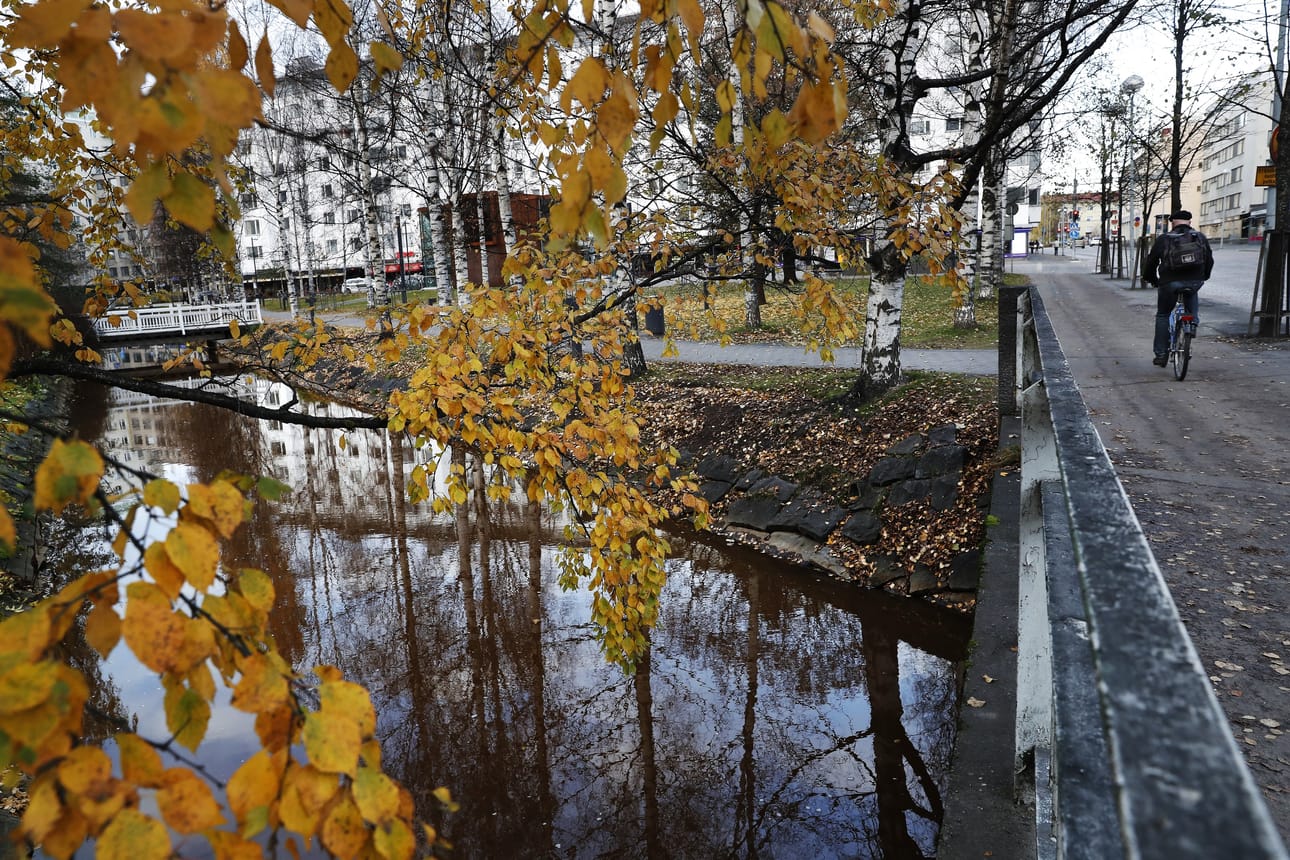 Kaupunginojan punaruskea väri johtuu rauta- ja mangaanipitoisesta maaperästä sekä turvemaiden humuksesta.