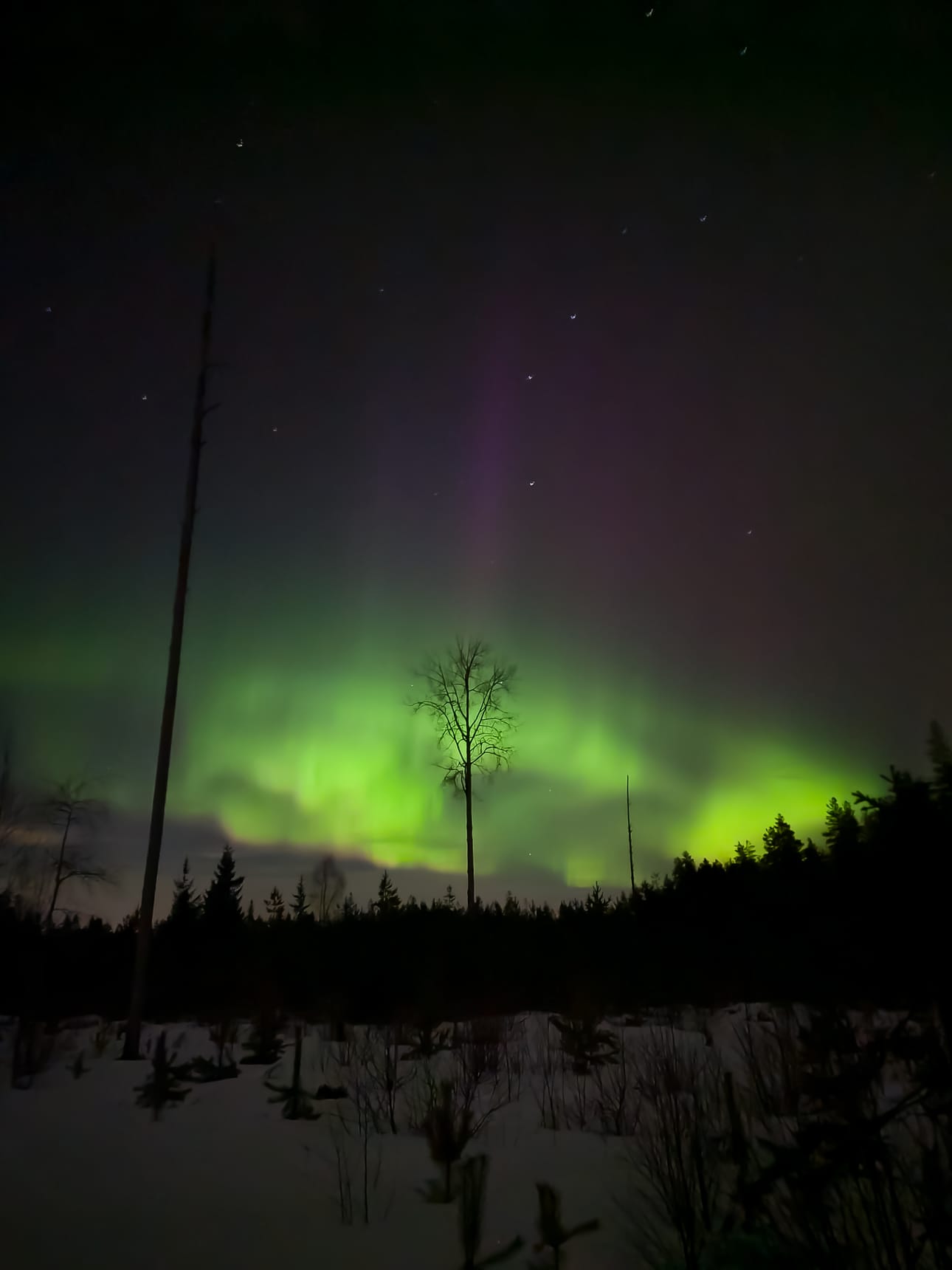 Illan hiihtolenkki Kärjenmäellä Jalasjärvellä.