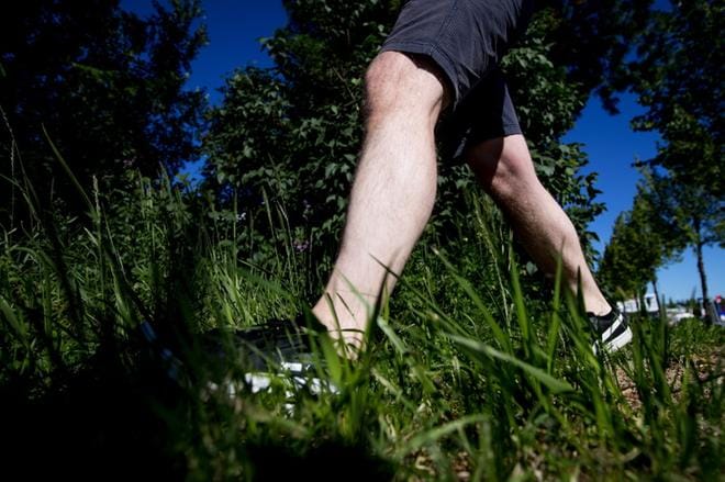 Punkit vaanivat rannikoilla ja heinikoissa. Punkeilta suojautumiseen suositellaan pitkälahkeisia housuja ja pitkähihaista paitaa. KUVA: JAAKKO ELENIUS