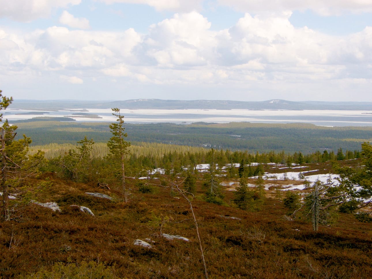 Riisitunturin vaellusreitiltä avautuu upeat maisemat Kitkajärvelle. Tunturin huippu kohoaa korkeimmillaan 466 metriin merenpinnasta.