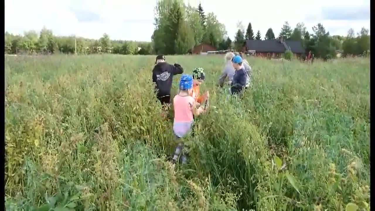 Saulin riistapellossa riittää syötävää