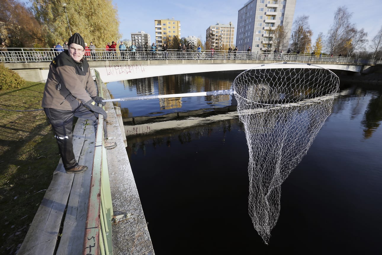 Janne Toppila lipposi siikaa sunnuntaina Tuirassa.