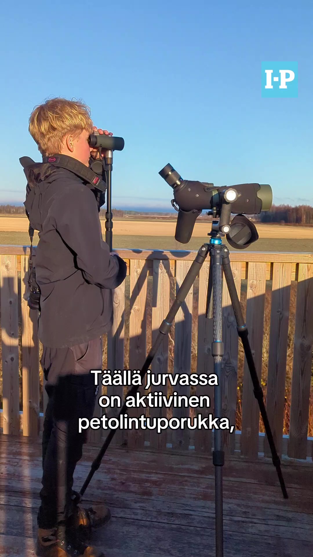 Nuori lintuharrastaja kiipeää puihin eikä kavahda petolintujen kynsiä