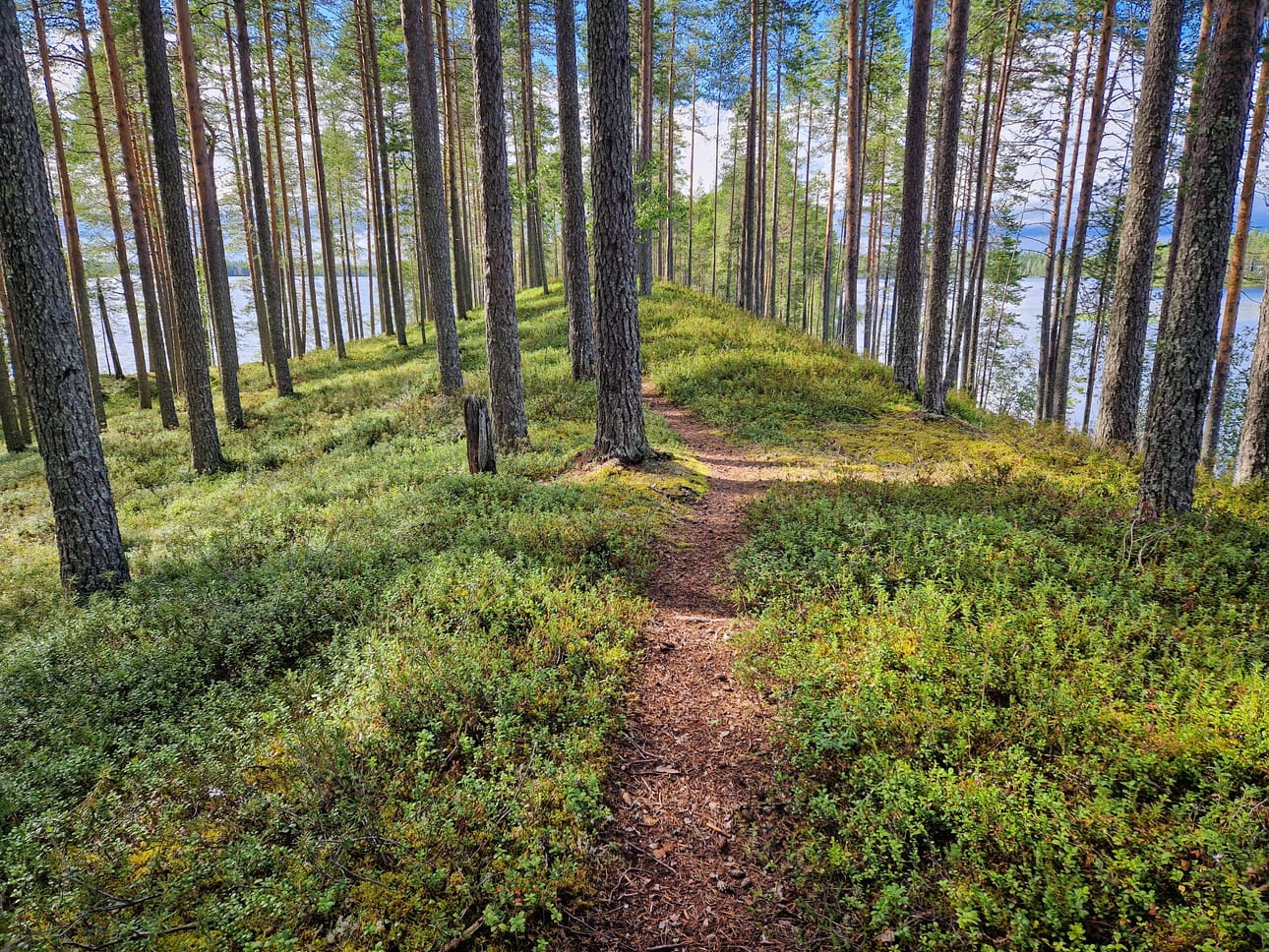 Itärajan retkeilyreitti kulkee harjulla, joka lähes halkaisee Aittojärven.