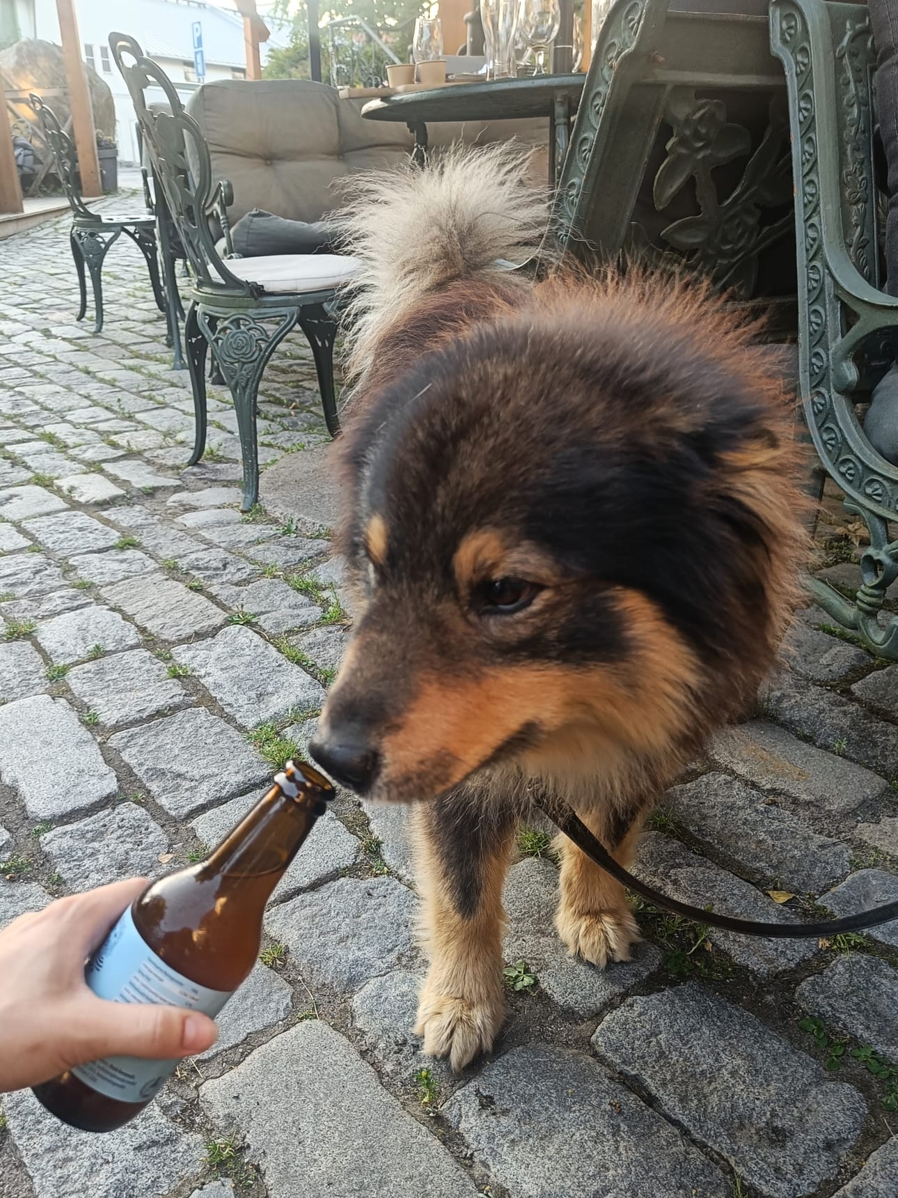 "Utuisen vaaleankultainen väri ja samettinen koostumus. Ei vaahtoa, mutta miellyttävä kalan tuoksu" Ketku arvioi.