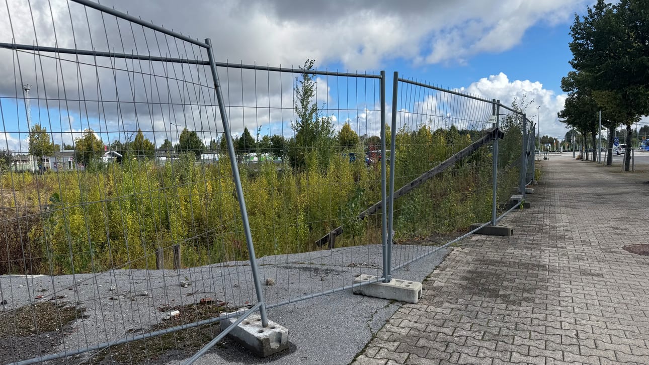 Entisen Lehtisen kaupan tontilla on iso monttu, joka on alkanut kasvaa puuta ja pensasta.