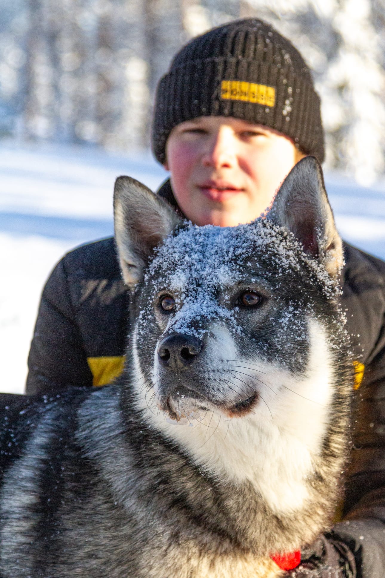 Kaapo on Kalle Mourujärven metsästyskaveri.