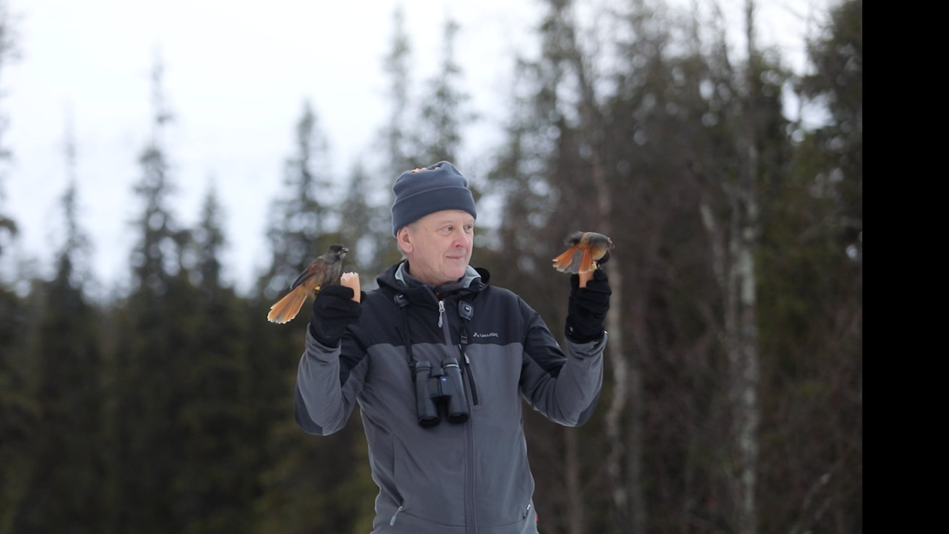Pekka Peltoniemi ja kuukkelit