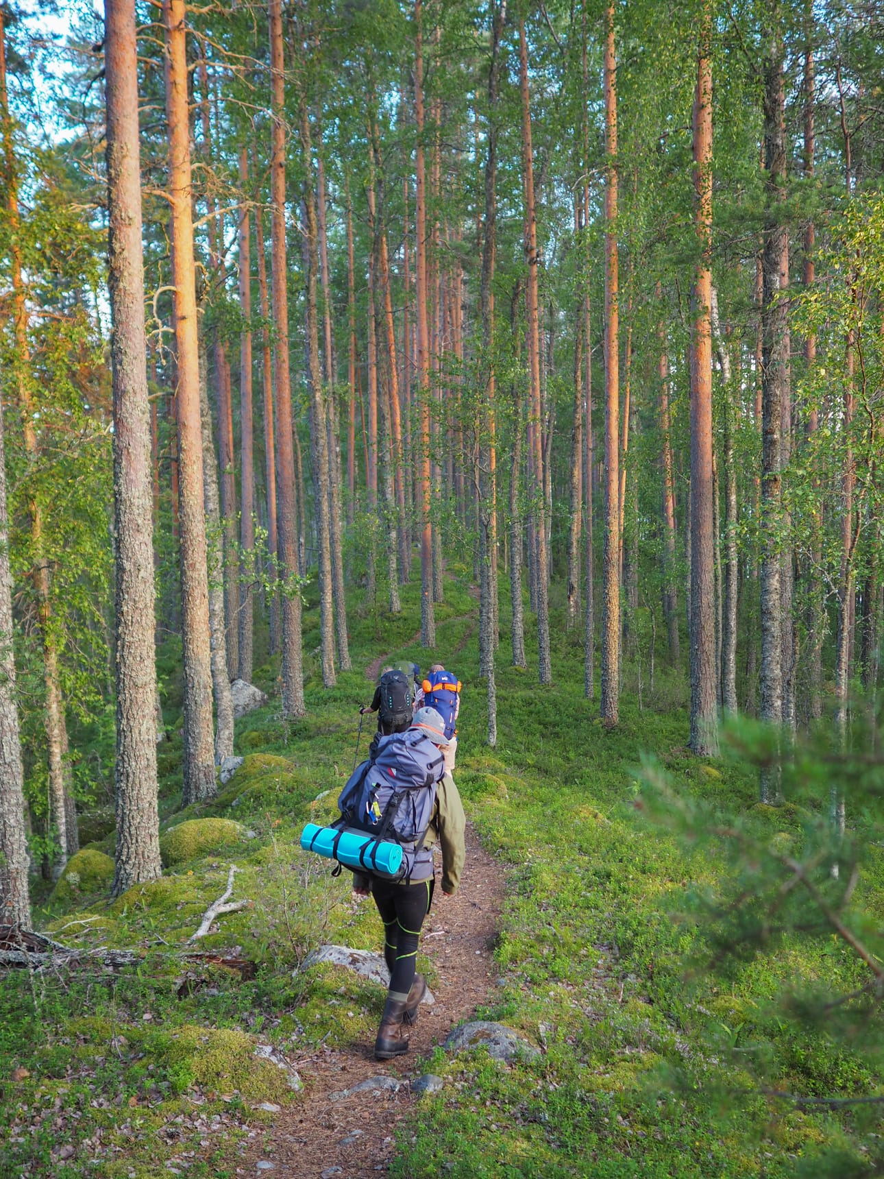 Taitajan taival kulkee osittain Natura-alueella.