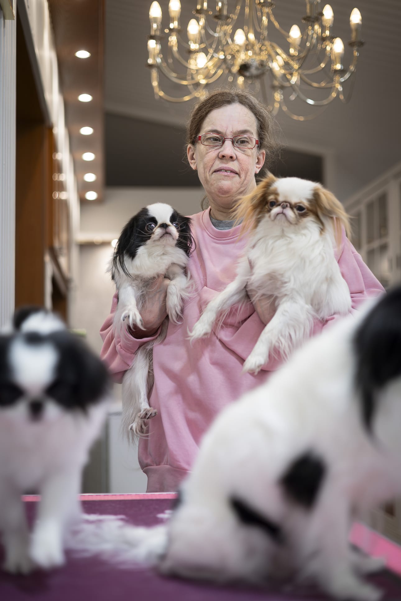 Japanese Chinia kuvaillaan iloiseksi veijariksi ja ylpeäksi aristokraatiksi, joka on älykäs, tottelevainen ja siisti. Se viihtyy niin kaupungissa kuin maaseudulla.
