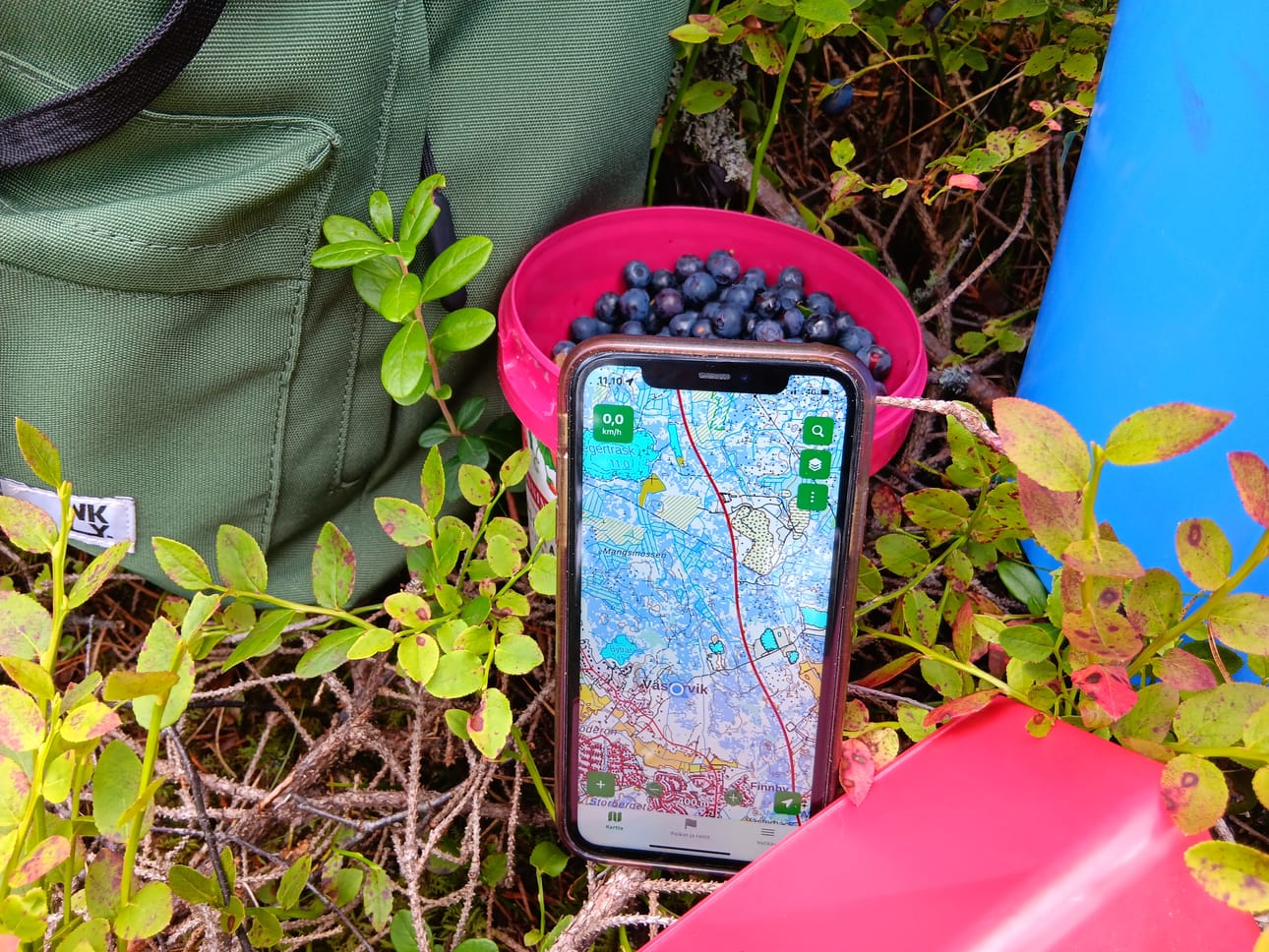 Karttaselain-palvelun mustikkakartta on yksi mobiilisovellus, jonka avulla voi löytää mustikkapaikkoja. Sovelluksesta löytyy myös muiden marjojen ja sienien karttoja.