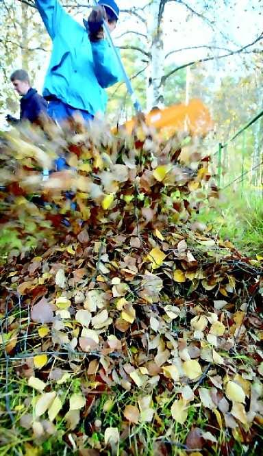 Toimii kovalla alustalla. Lehtipuhaltimen teho oli haravaan verrattuna ylivoimainen kovalla alustalla. Nurmikolla laite toimi huomattavasti heikommin.