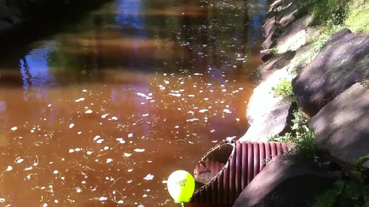 Ilmapallo oli jäänyt pyörimään Laanaojaan