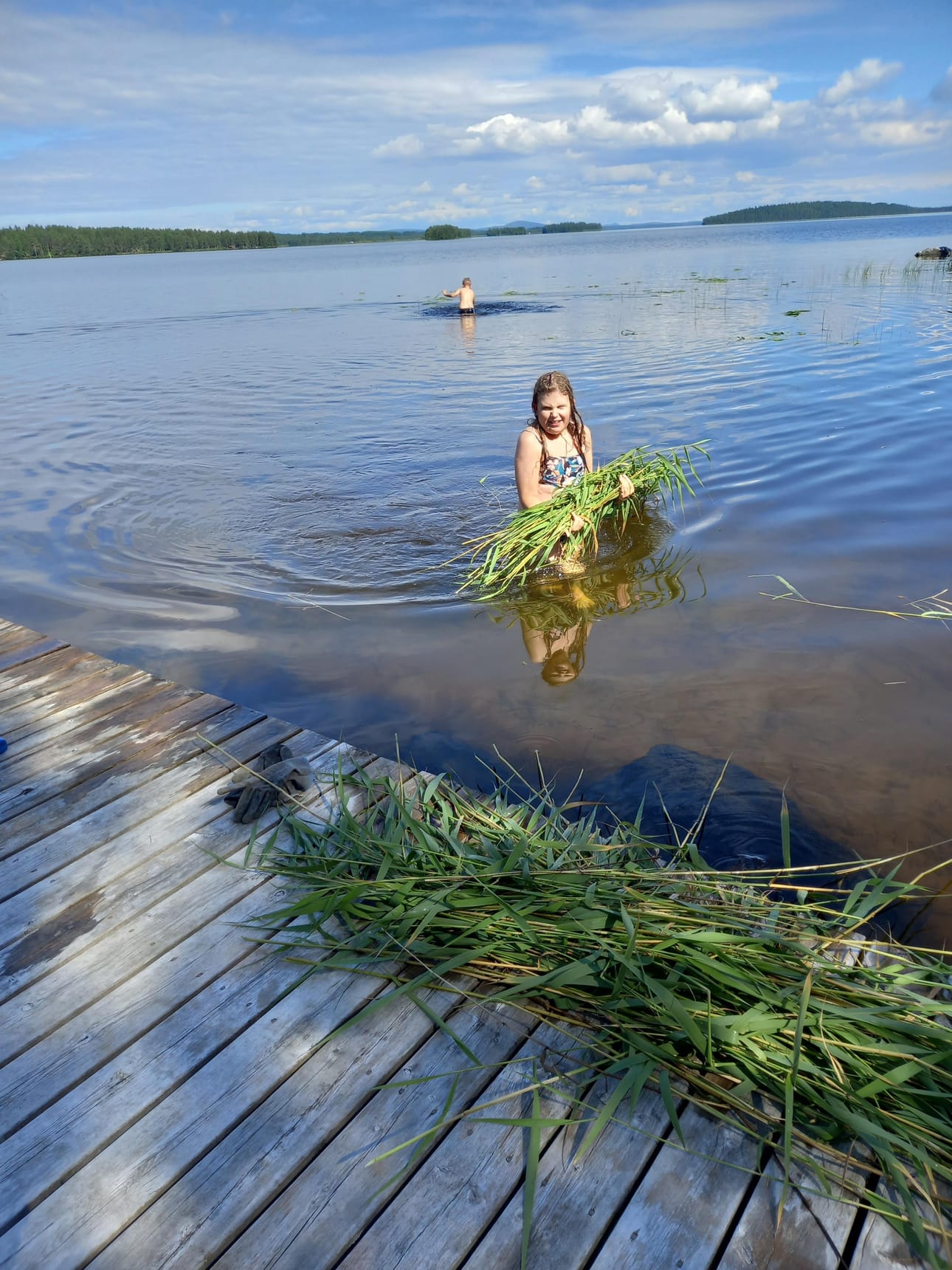 Mökkilomalaiset pikkuserkukset Elsa ja Kasper kaislojen keruussa Porosaaressa.