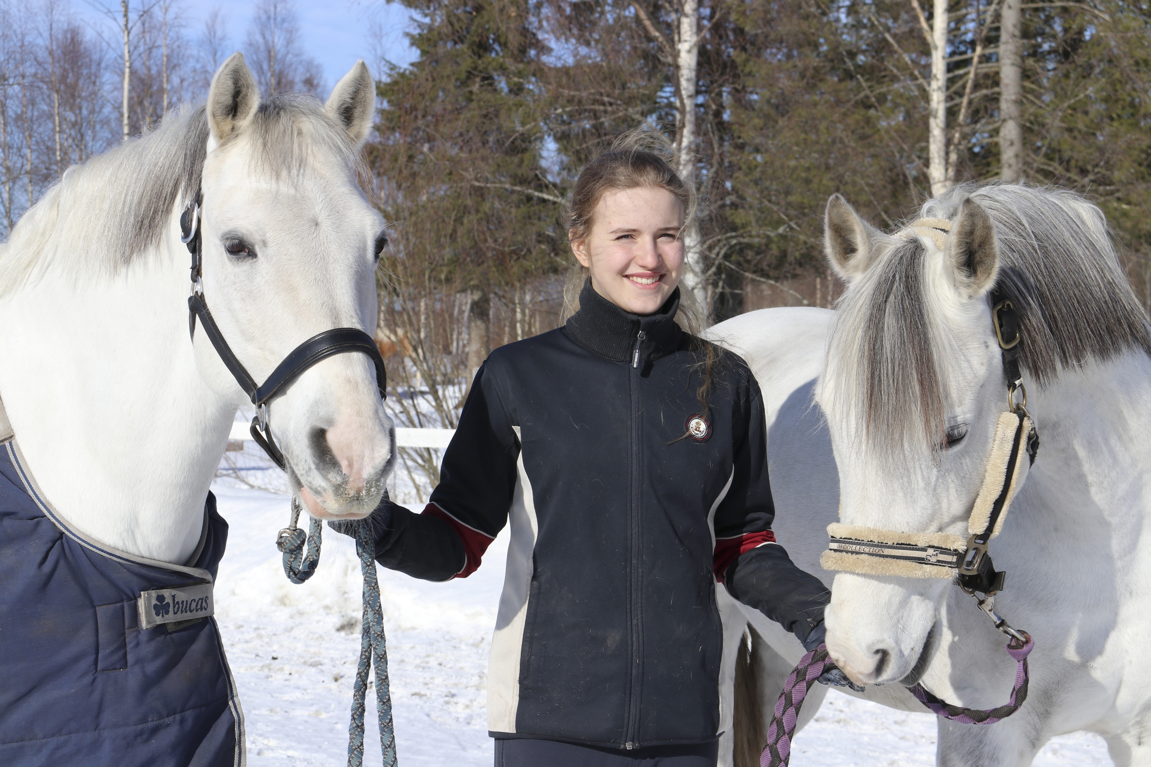 Tuisku Lamberg on touhunnut hevosten kanssa aina. Hänen äitinsä Riikka Lambergin     mukaan tyttö oppi jopa ratsastamaan ennen kuin kävelemään.