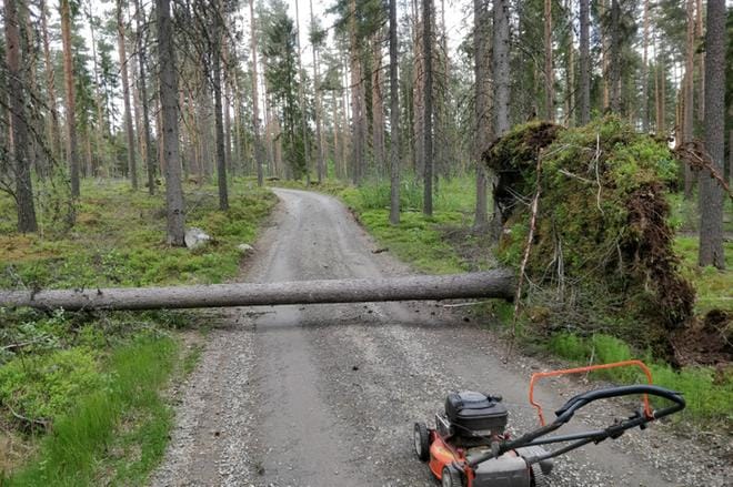 Otus-myrskyn myrskypuuskia koettiin myös Järviseudun alueella. Ojajärvellä Hyytiäisvuoren tielle oli sunnuntain vastaisena yönä kaatunut puu. KUVA: TAPANI TALLBACKA