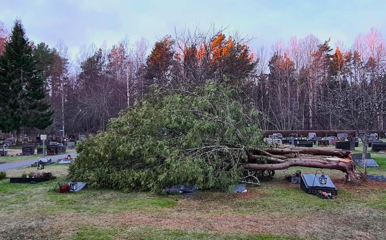 Kristiinan Kantakaupungin uudella hautausmaalla puu oli rysähtänyt hautakivien päälle.
