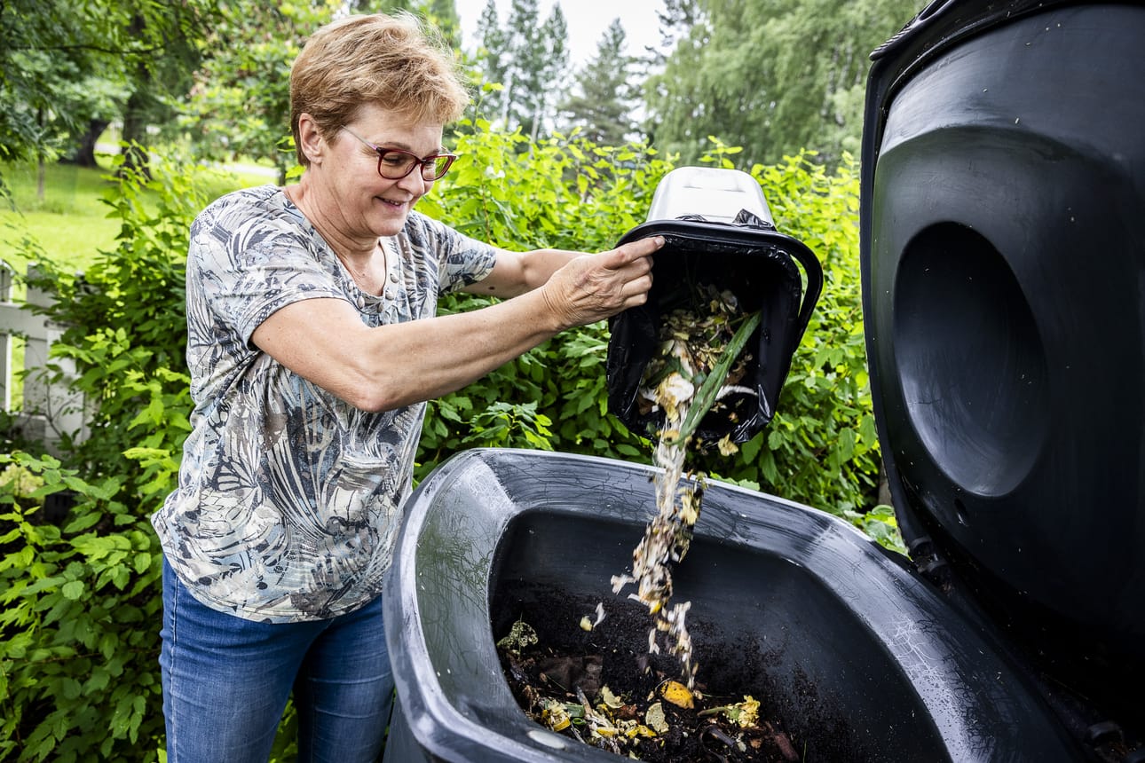 Aini Ojala kaataa biojätteet lämpökompostoriin.