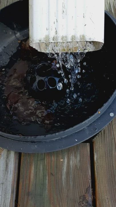 Ränni lorisee vettä