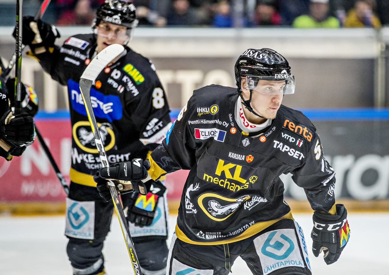 Miika Koivisto teki Kärppien kanssa kahden vuoden sopimuksen.