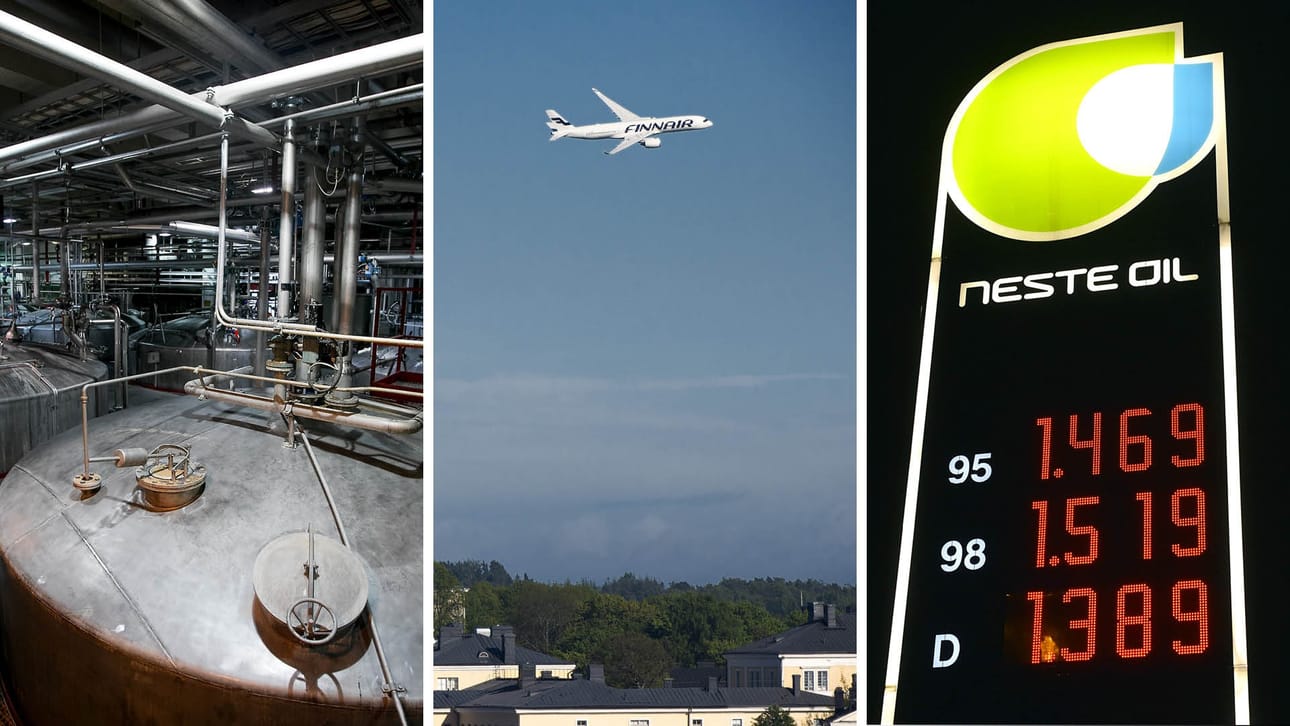 Valtio omistaa yli 36 prosenttia alkoholiyhtiö Altiasta, yli 55 prosenttia Finnairista ja 44 prosenttia energiayhtiö Nesteestä.