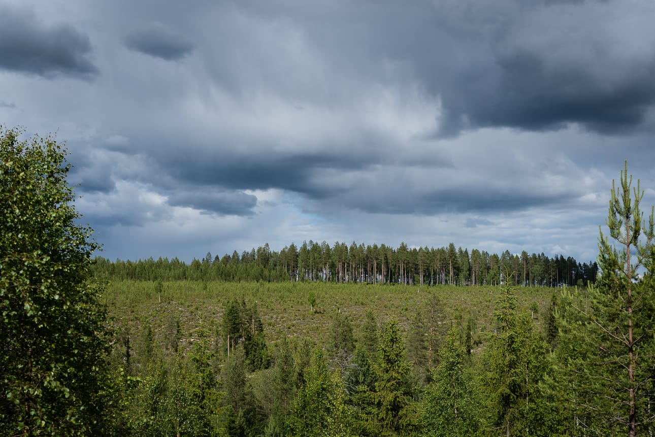 Kajaanin kaupunginteatteri on mukana Euroopan kulttuuripääkaupunki Oulu 2026 -vuoden ohjelmassa hankkeella, jonka nimi on Taidetta ei tervaa! Alueellinen esittävä taide ekologisena jälleenrakentajana.