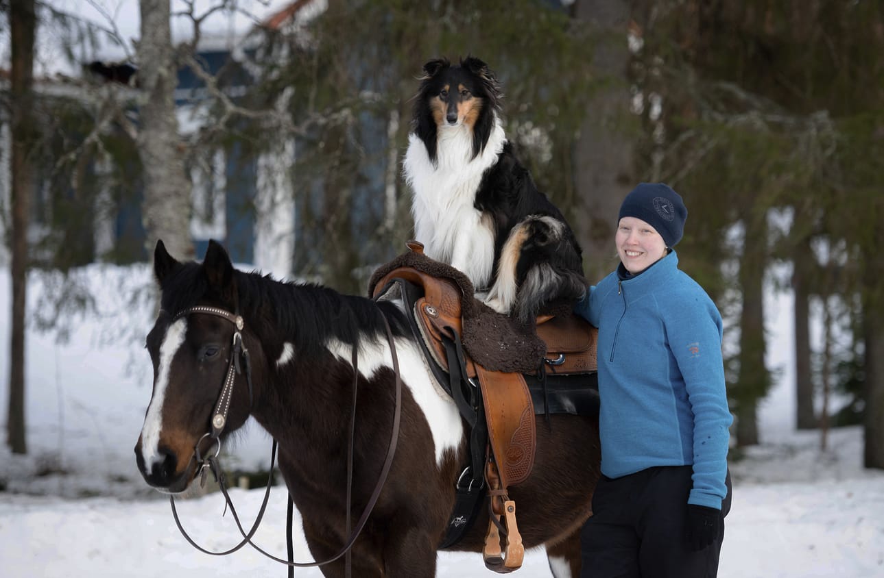 Kati Vierimaa Diiva-colliensa kanssa. Jaska-hevonen ei karvaista ratsastajaansa hätkähdä.