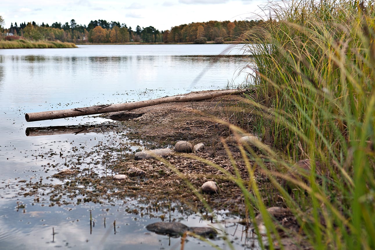 Vetäytynyt vesi on paljastanut Kuusamojärven rantaa useita kymmeniä senttejä. Alhainen vedenkorkeus johtuu sateiden vähyydestä.