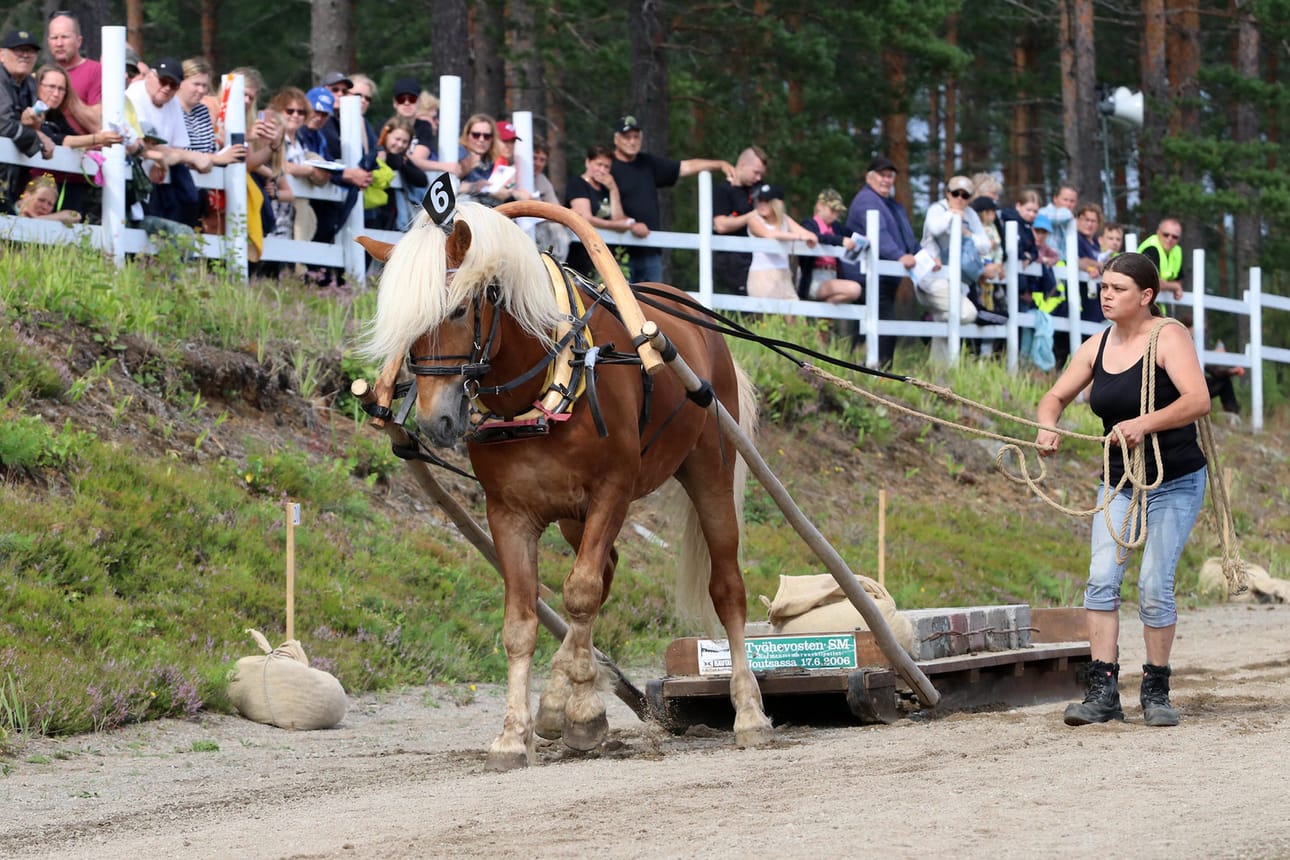 Kikan Sälli ja Heini Kuukka vetokokeessa. Kuorman lähtöpaino on 500 kiloa ja sitä nostetaan portaittain.