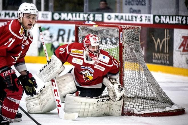 Sport lainaa Leevi Laakson Hermekseen. KUVA: JARNO PELLINEN