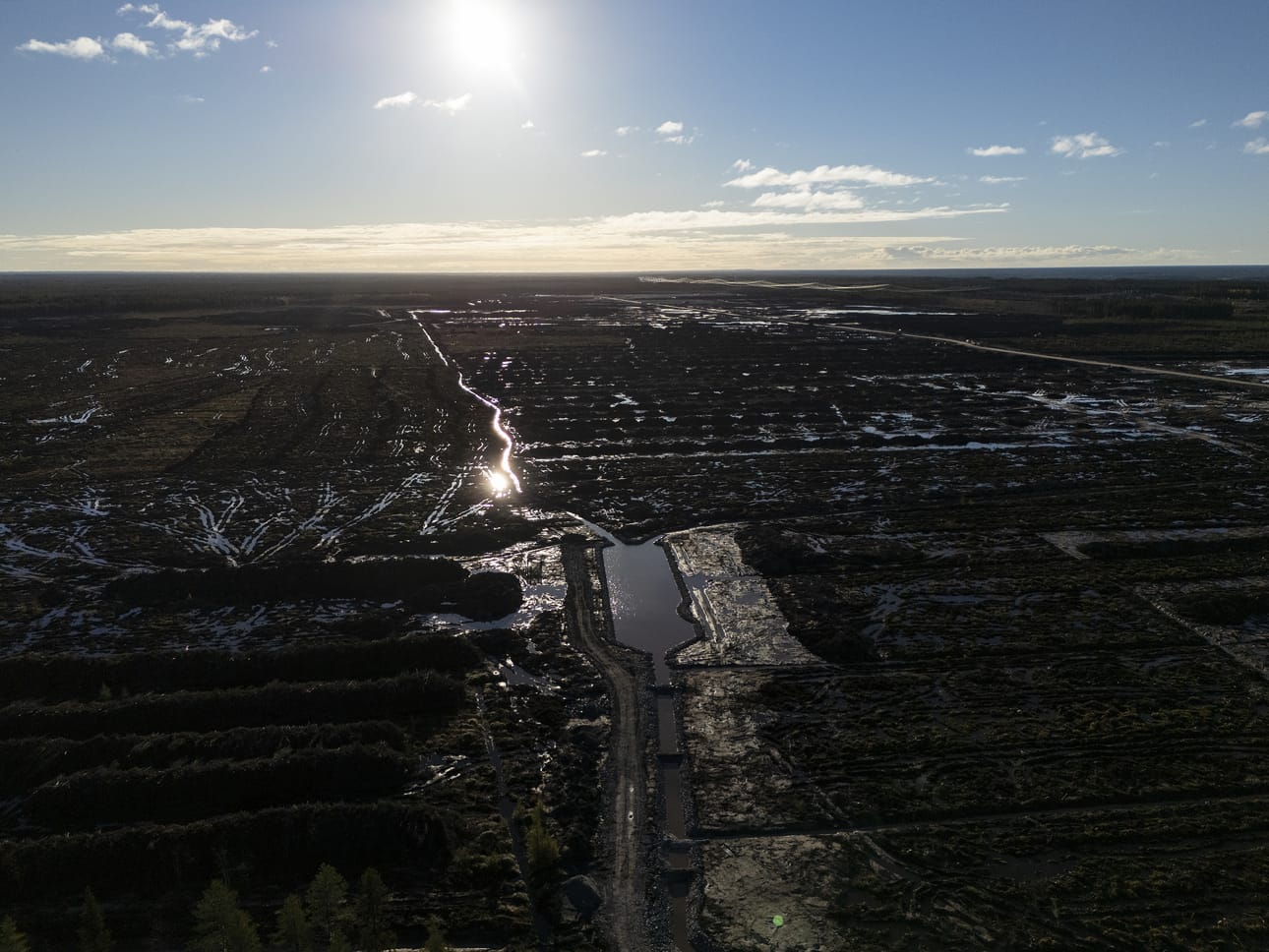 Google hakkasi valtavat määrät metsään Muhokselle tulevan datakeskuksen alta.