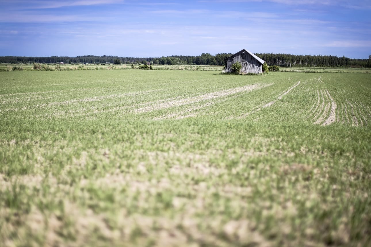 Parin viime vuoden huonot sadot ovat koetelleet maatalouden kannattavuutta.
