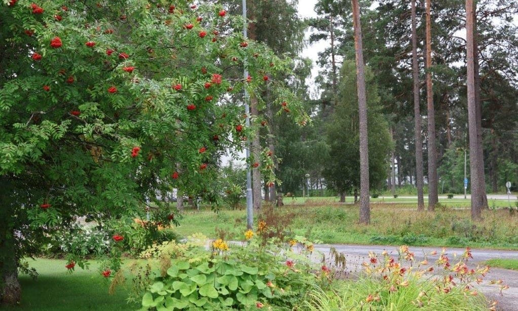 Isojoki sai runsaasti ehdotuksia kilpailuun. Arkistokuva. Minna Zilliacus