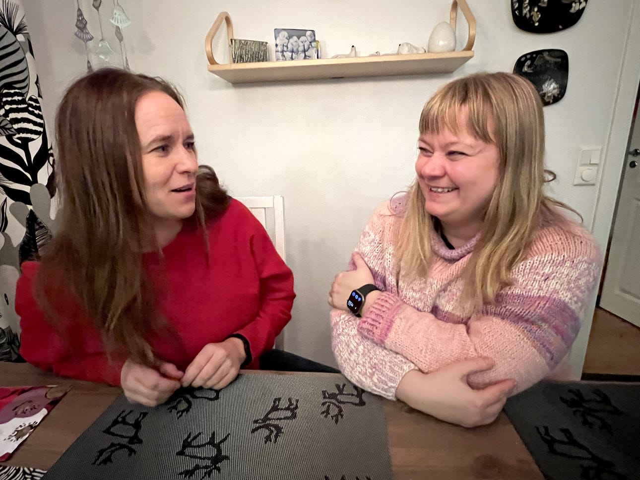 Kun Satu Rämö (vas.) lähettää uuden romaanin käsikirjoituksen kustantajalle, sen saa lukea vain luotettu kustannustoimittaja Hanna Pudas. Viiden vuoden yhteistyön aikana Rämön ja Pudaksen välille on syntynyt tiivis ystävyyssuhde.