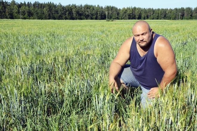 Pahin tilanne on pelloilla, jossa vilja on useassa kasvuvaiheessa. Osa viljasta on kohta tuleentunut, osa korsista vasta tekee tähkää, sanoo Harri Lehtola. KUVA: TIINA RANTAKOSKI