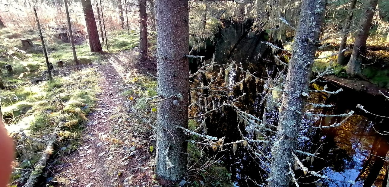 Pattijoen veden laatu vaihtelee sen mukaan, kuinka paljon joen valuma-alueella sataa. Veden fosforipitoisuudet ovat siedettäviä latva-alueilla, mutta lisääntyvät selvästi, mitä lähemmäs merta joella mennään.