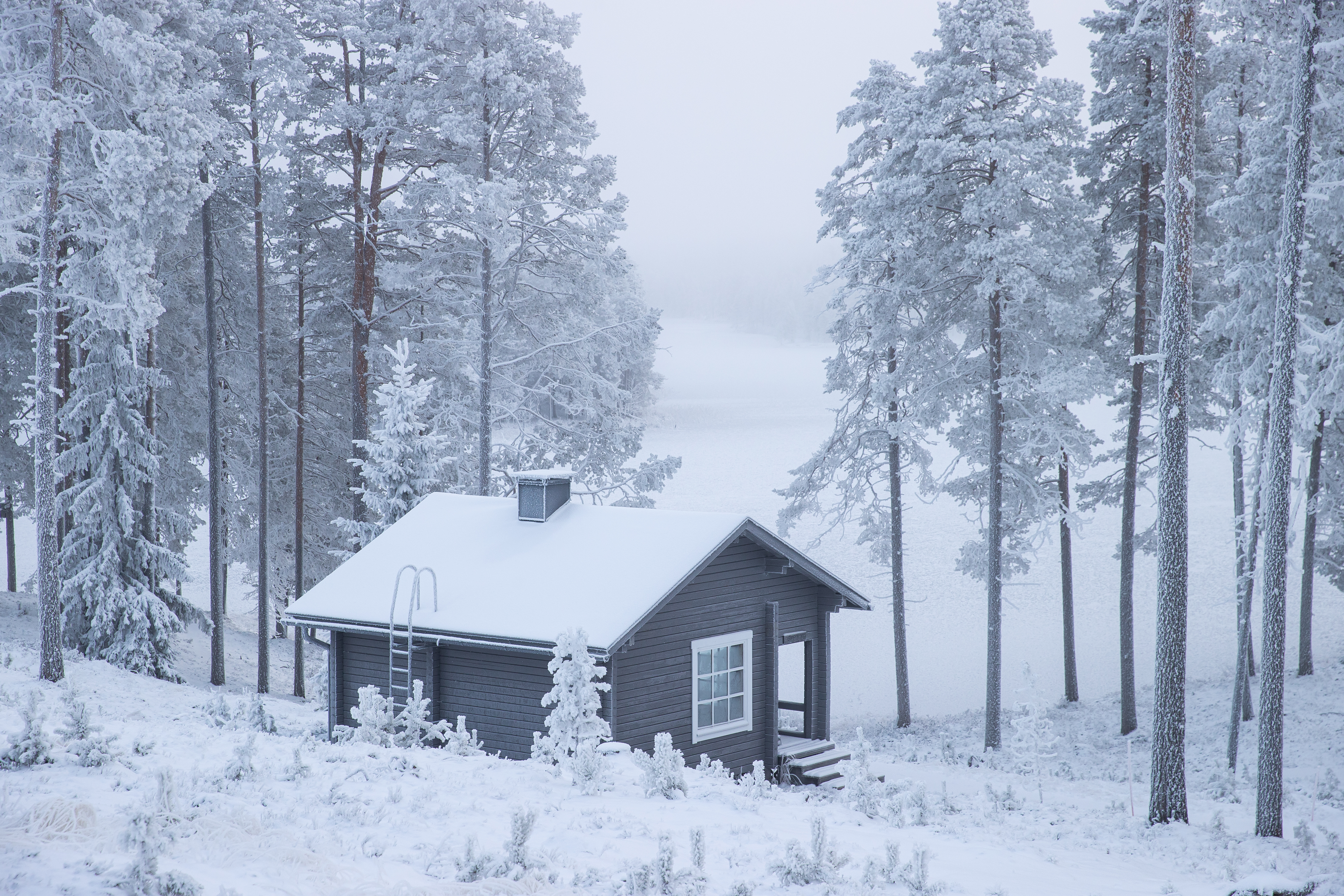 Kylmäluomassa on marraskuussa kauniin kuuraista.