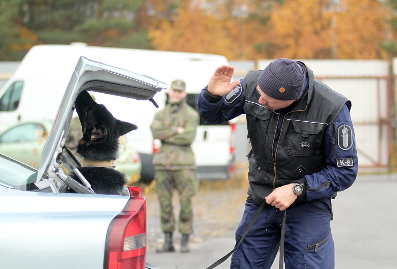 Kolmen päivän SM-kilpailu koostui useista tehtävärasteista. Kuva ajoneuvoetsinnästä, jossa poliisikoira Eppu ja poliisikoiraohjaaja Toni Laakso tositoimissa.