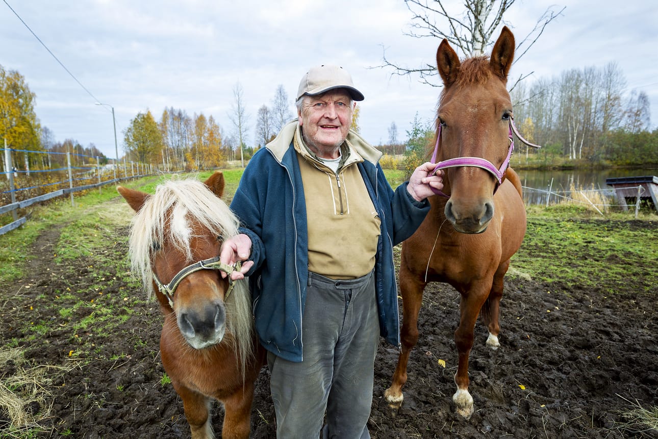 Erkki Alatalon pientilan asukkaisiin kuuluvat muun muassa poni Aarteen Feeniks ja hevonen Hipsun Vappu. Aarteen Feeniks on pärjännyt hyvin ravikisoissa Alatalon pojantyttären Wilman kanssa.