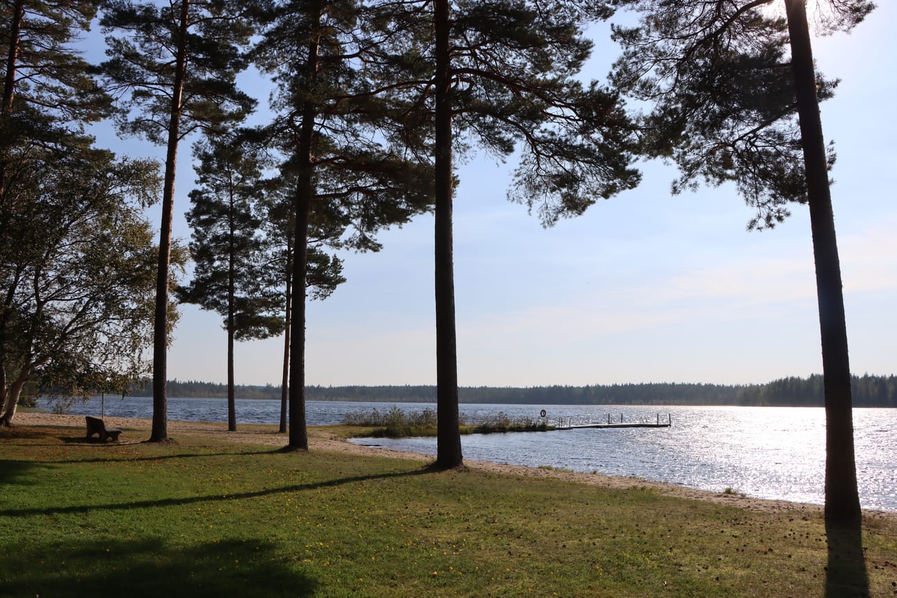 Säläisjärven vesinäytteissä ei ole havaittu sinilevää kesän aikana. Järvi-meriwiki-palvelun mukaan Jurvan Säläisjärven ekologinen tila on tyydyttävä.