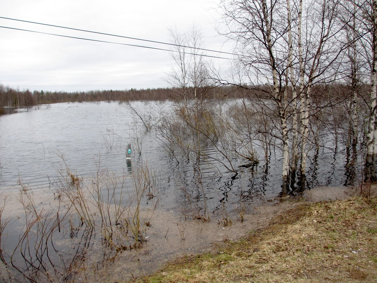 Petäjäkankaantien varressa on vielä runsaasti vettä.