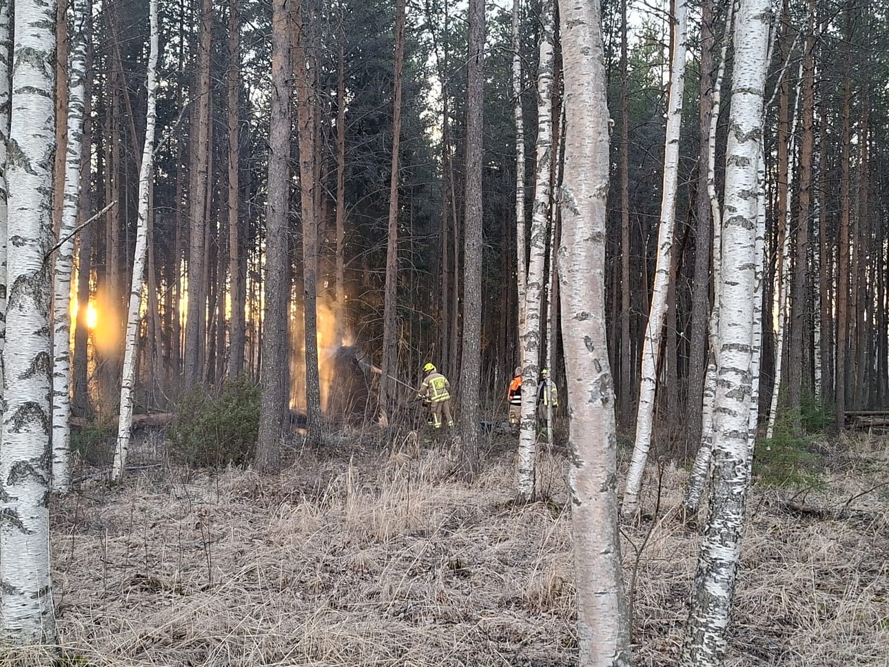 Pelastuslaitos sammutti Oulussa Kuivasrannalla Paloniemenrannassa maastopaloa 16. huhtikuuta. Kuiva kevät on tehnyt maastosta erittäin kuivaa ja eri puolilla Pohjois-Pohjanmaata on ollut viime päivinä lukuisia maastopaloja. Suurin osa maastopaloista on ihmisten aiheuttamia.