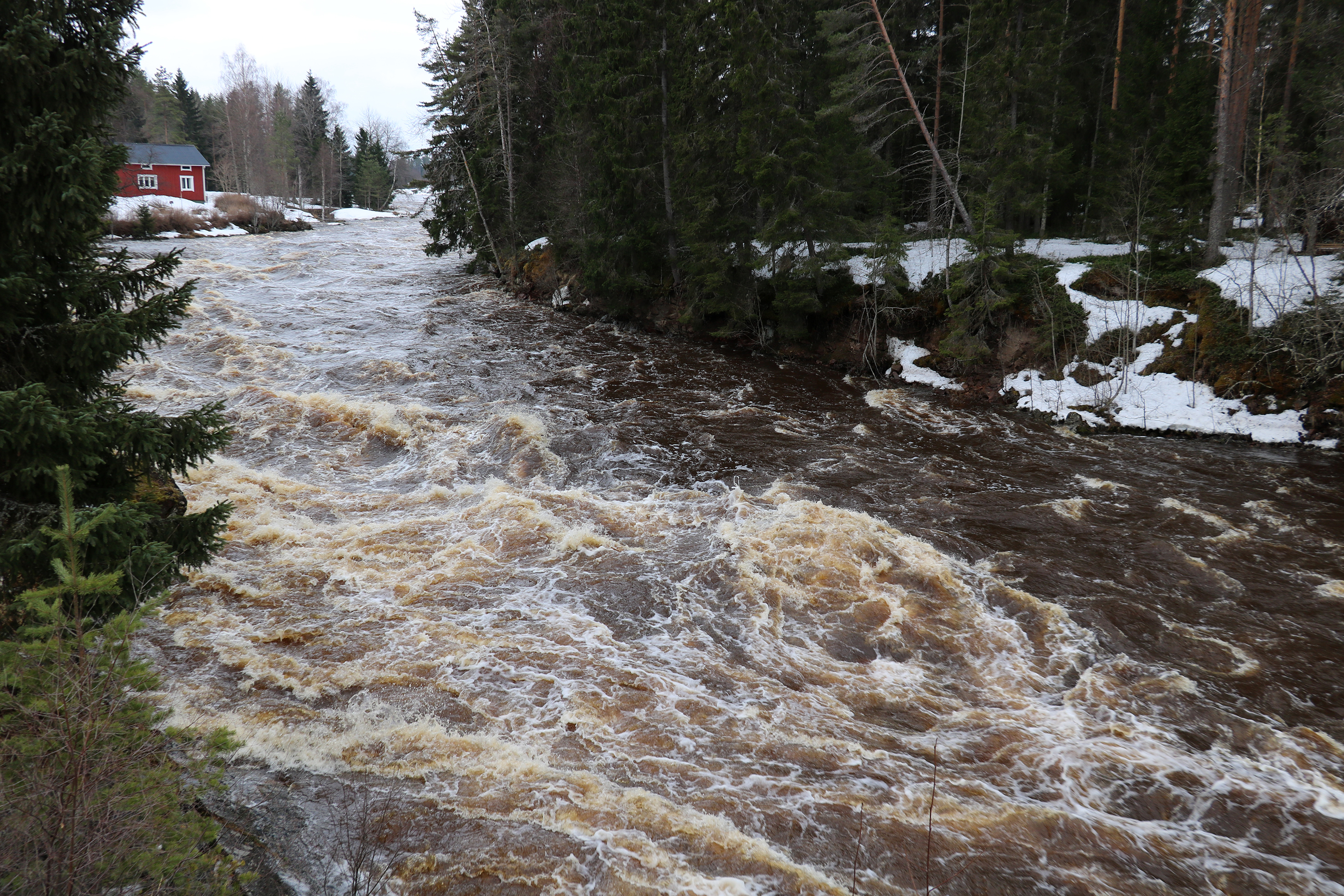 Pyhänkosken tulvakuohuja ihastelevat tulvaturistit niin auton ikkunoista kuin kävellenkin.